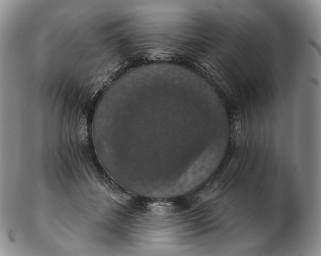 X0000102770508200809021032