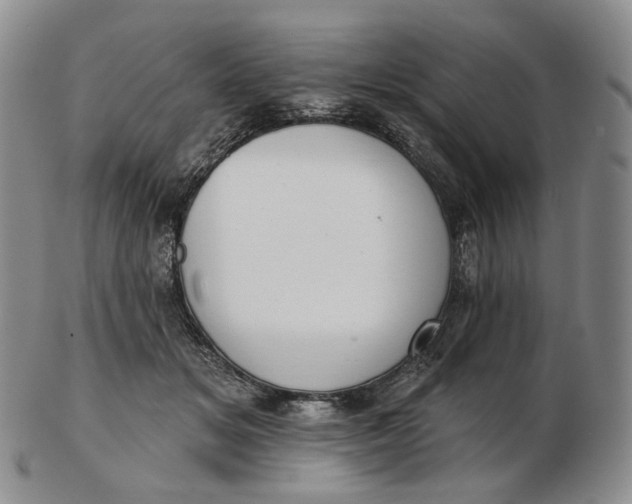 X0000102770509200809021032