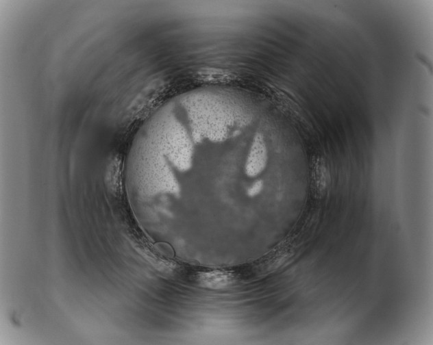 X0000102770511200809021032