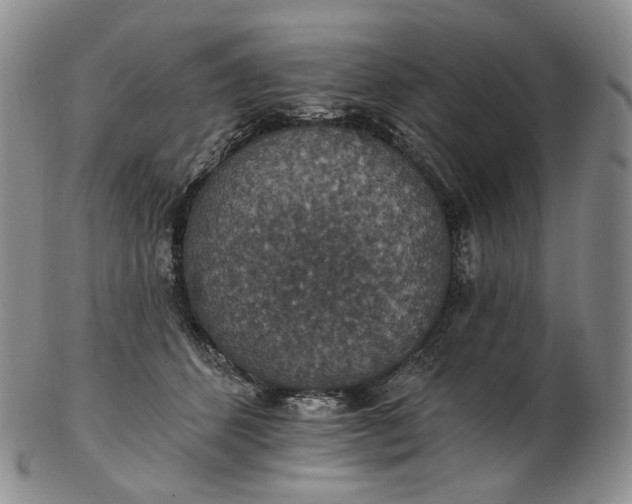 X0000102770512200809021032