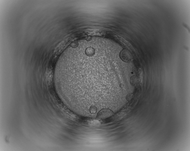 X0000102770513200809021032