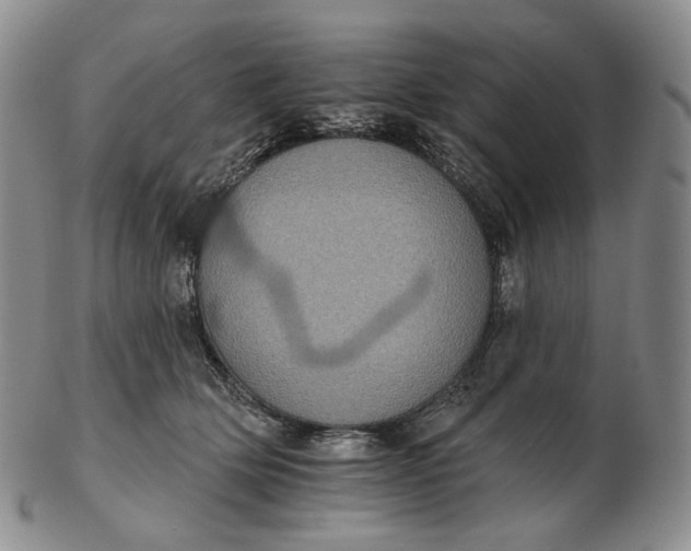 X0000102770514200809021032