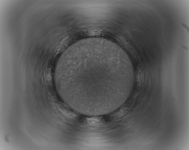 X0000102770516200809021032