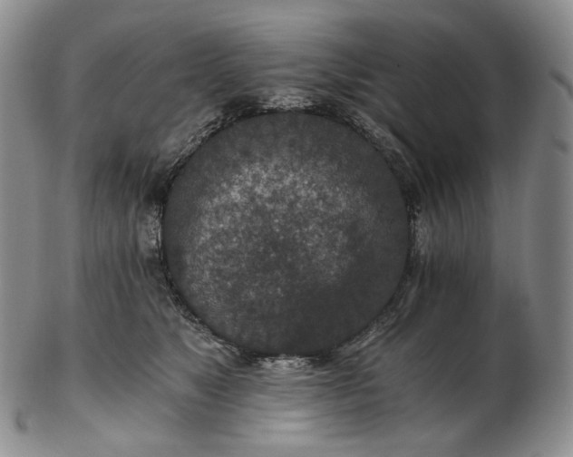 X0000102770517200809021032