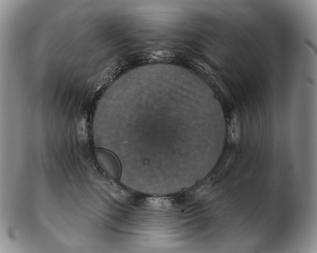 X0000102770520200809021032