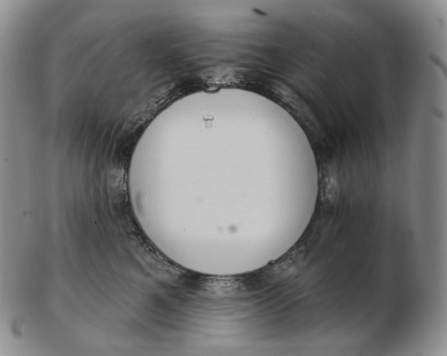 X0000102770521200809021032