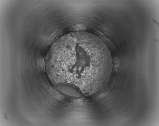 X0000102770523200809021032