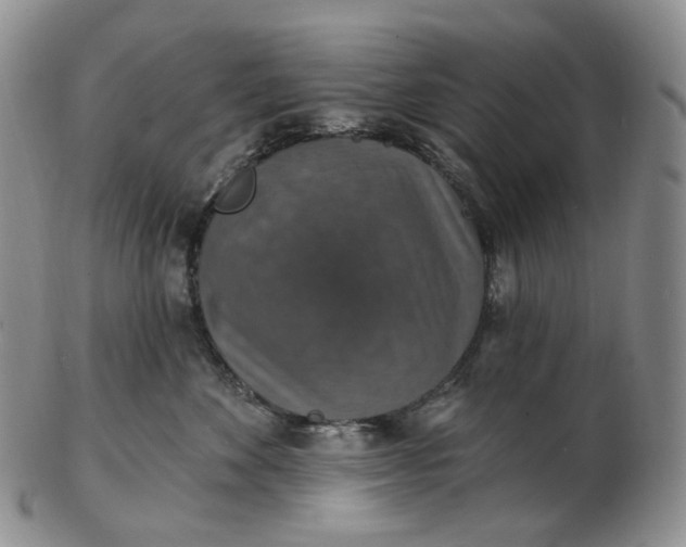 X0000102770524200809021032