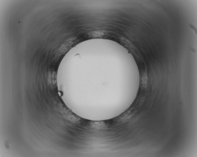 X0000102770525200809021032