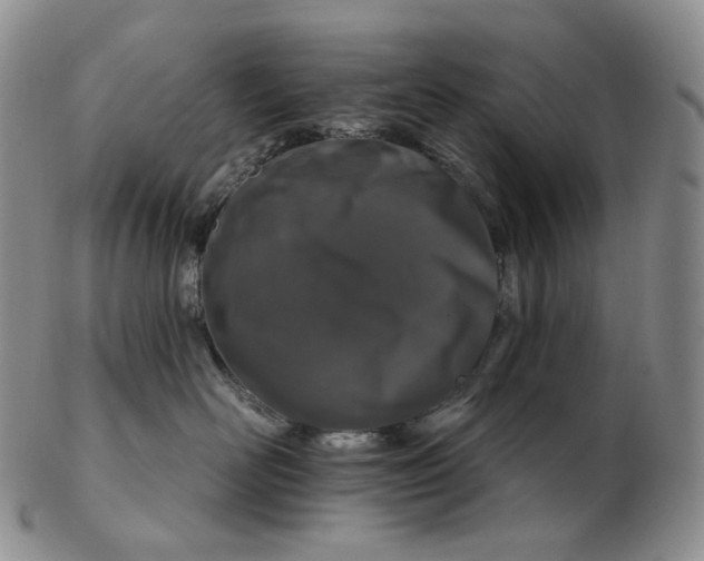 X0000102770526200809021032