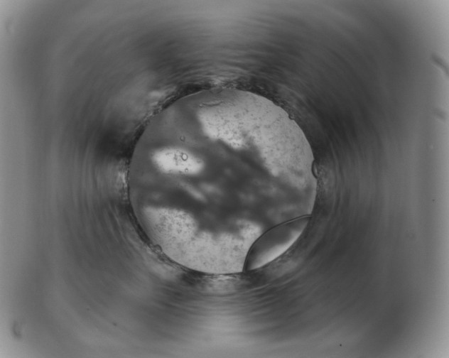 X0000102770527200809021032