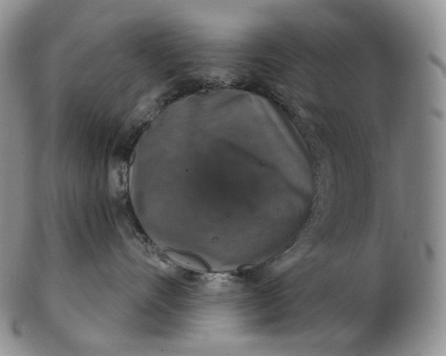 X0000102770528200809021032