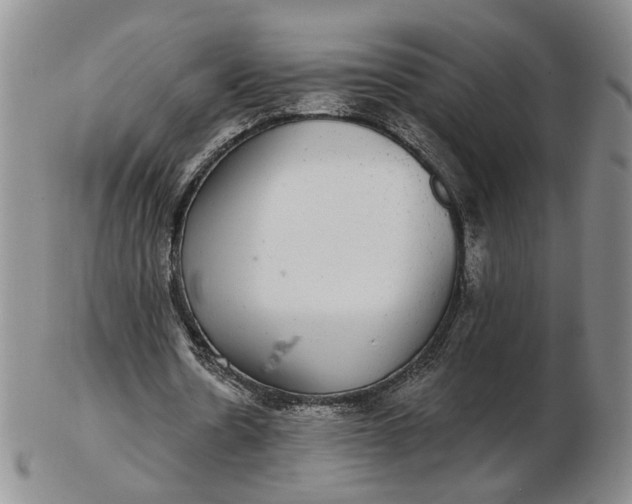 X0000102770530200809021032