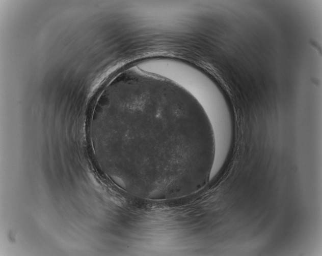 X0000102770531200809021032