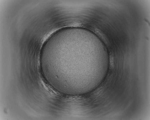 X0000102770532200809021032