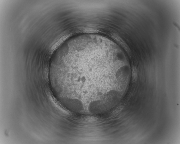 X0000102770533200809021032