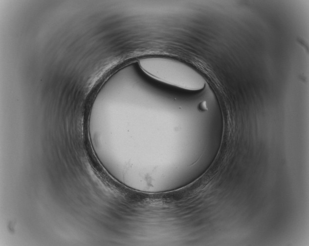 X0000102770534200809021032