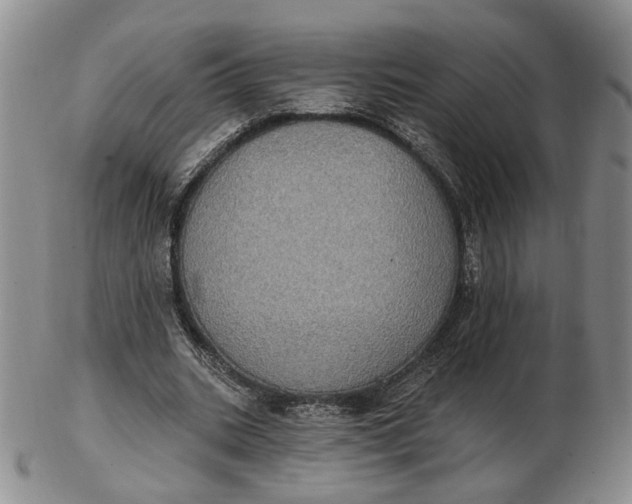 X0000102770535200809021032