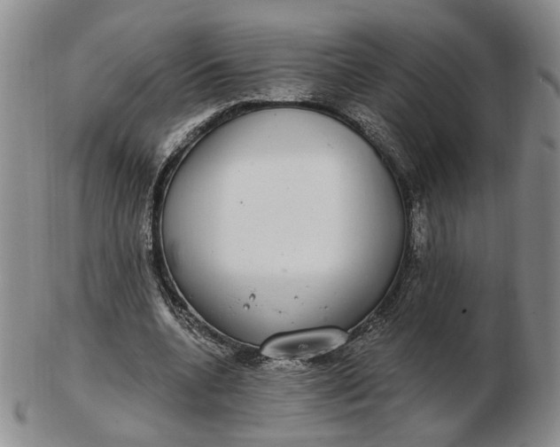 X0000102770536200809021032