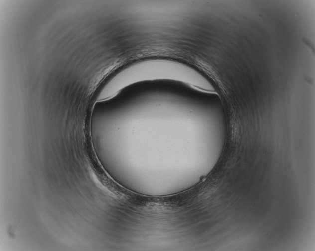 X0000102770538200809021032