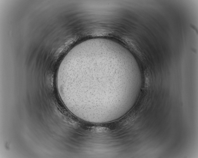 X0000102770539200809021032