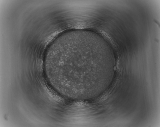 X0000102770540200809021032