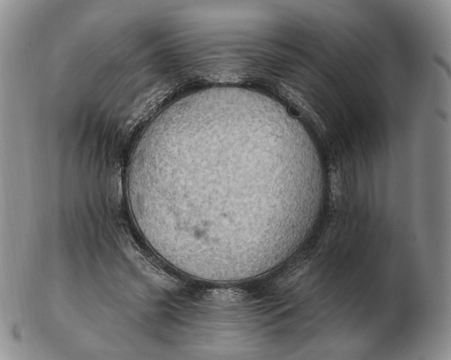 X0000102770541200809021032