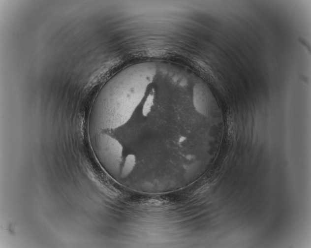 X0000102770542200809021032