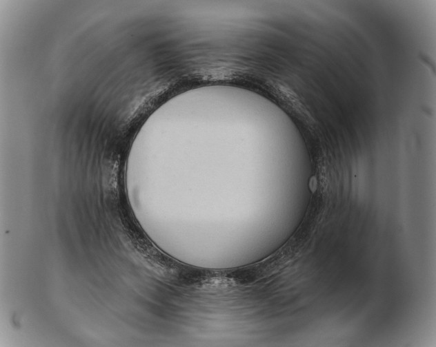 X0000102770543200809021032