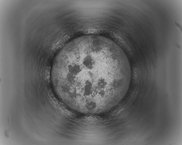 X0000102770545200809021032