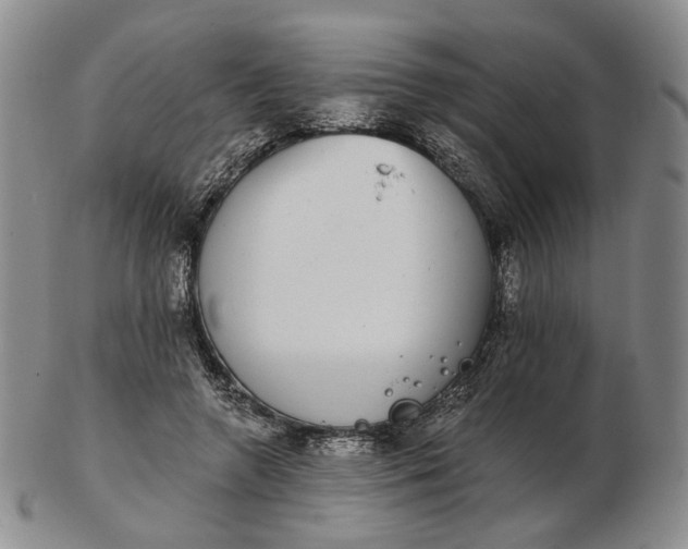 X0000102770546200809021032