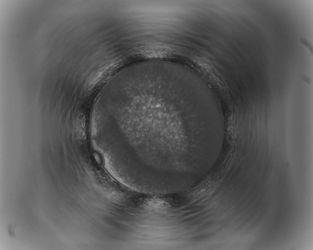 X0000102770547200809021032