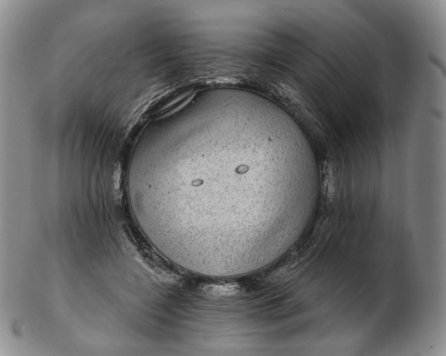 X0000102770548200809021032