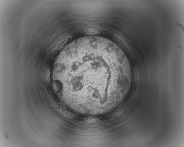 X0000102770549200809021032