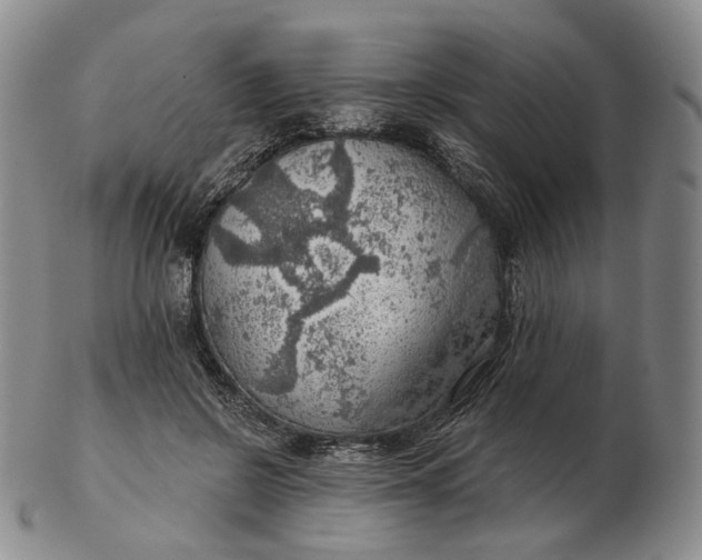 X0000102770550200809021032