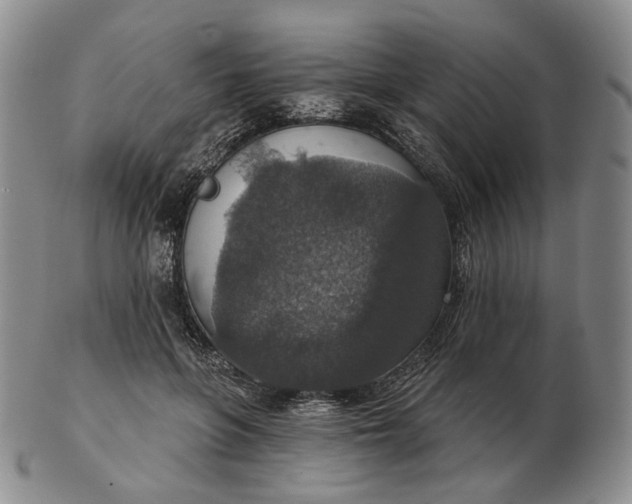 X0000102770551200809021032