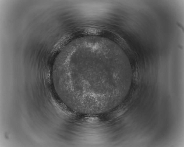 X0000102770552200809021032