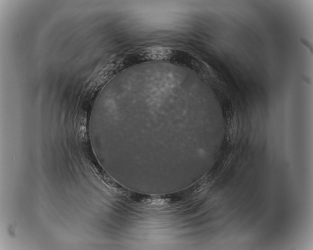 X0000102770553200809021032