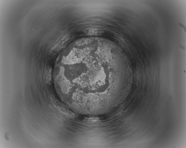 X0000102770554200809021032