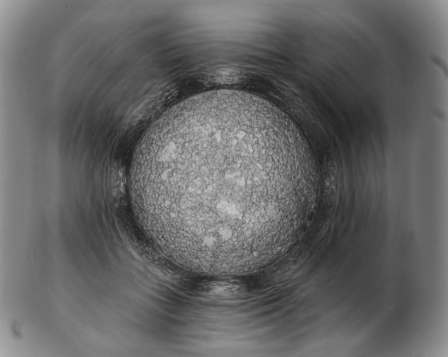 X0000102770555200809021032