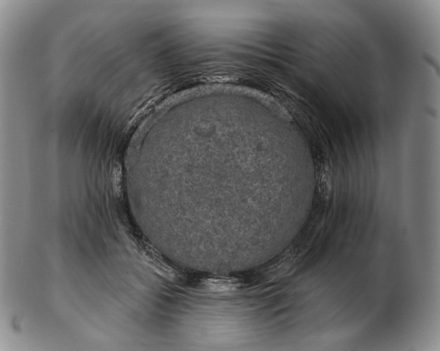 X0000102770556200809021032