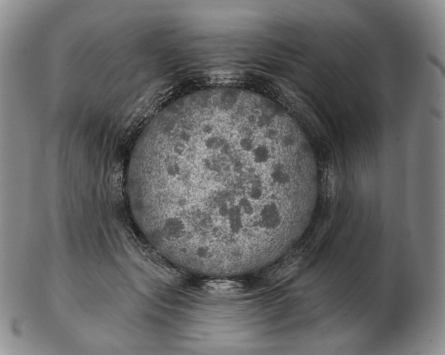 X0000102770557200809021032