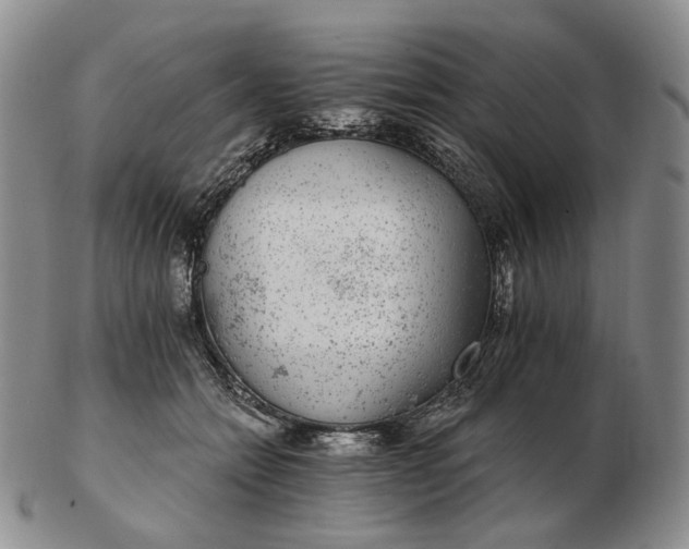 X0000102770558200809021032