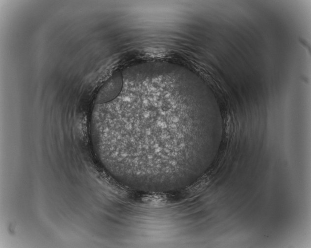 X0000102770559200809021032