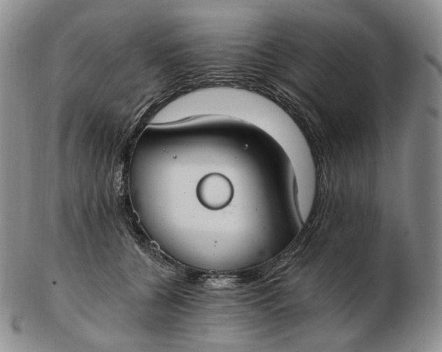 X0000102770560200809021032