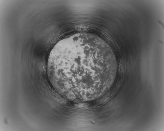 X0000102770561200809021032