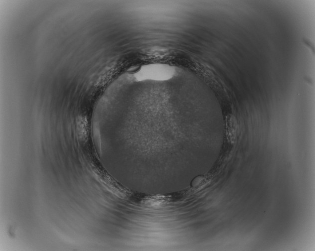 X0000102770563200809021032