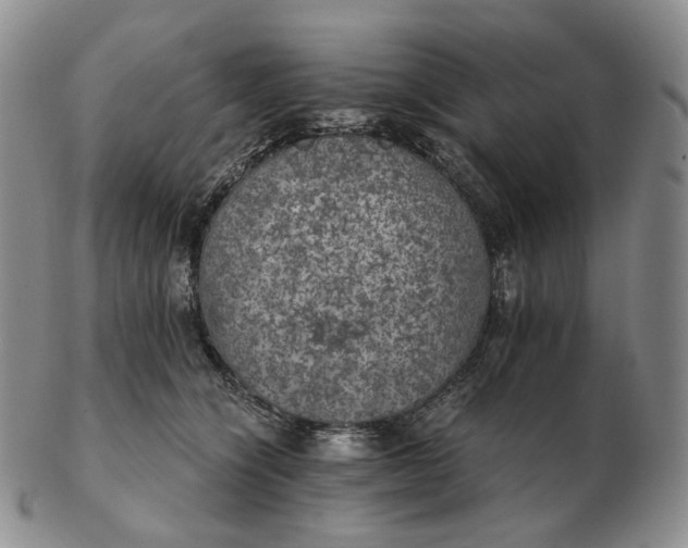 X0000102770564200809021032