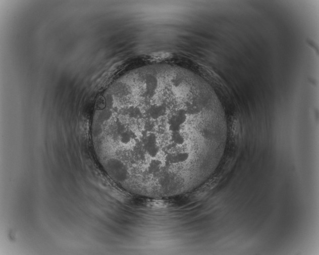 X0000102770565200809021032