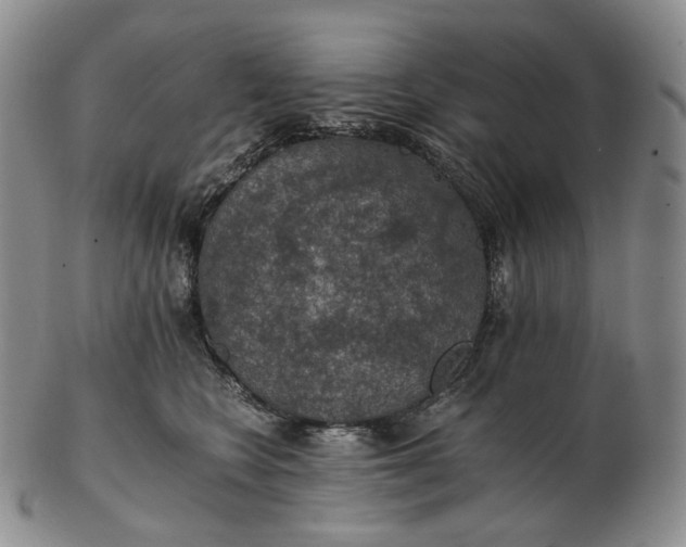 X0000102770566200809021032